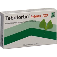 Tebofortin intens 120, Filmtabletten